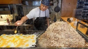 'Giant Food Collection - Japanese Street Food - Meat! Fried Rice! Ramen! Chicken! デカ盛り 炒飯 ラーメン 肉'