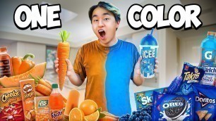 'Eating Only ONE Color of Food for 24 Hours (Orange Vs Blue)'