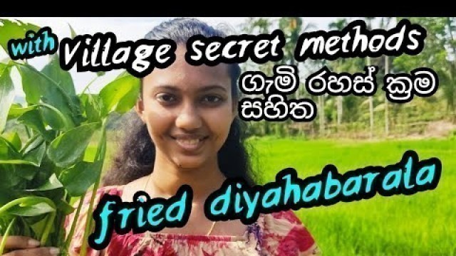 'cooking  fried diyahabarala/village foods diyahabarala baduma/traditional cooking/sri lanka recipes'