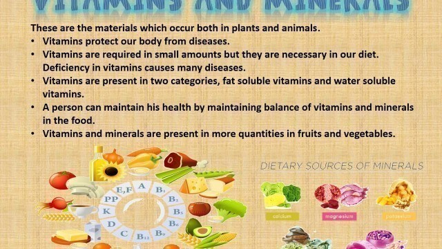 'PPT ON components of food'