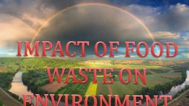 'FOOD WASTE MANAGEMENT PPT#project #school'