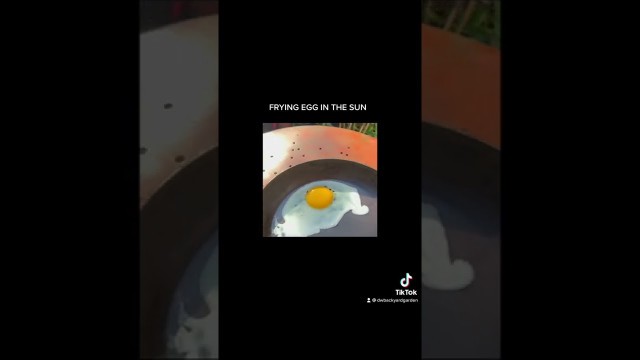 'EGG FRY WITHOUT FIRE IN THE SUN #viral #shorts #food #fyp #foryou #new #egg #sun #egg'