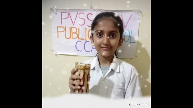 'PVSS DAV PUBLIC SCHOOL //online cca//Food Without Fire'