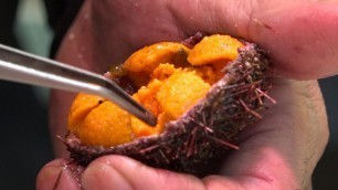 'Japanese Street Food - Osaka Seafood, Uni [Sea urchin], Kuromon Market in Japan Part 3'