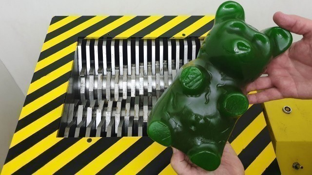 'EXPERIMENT Shredding GREEN GIANT GUMMY BEAR (Five pound)'