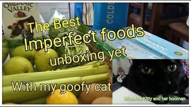 'The best Imperfect foods unboxing yet with my  goofy cat.'