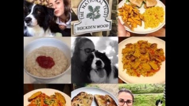 'LAST WEEK AT HOME BEFORE UNI - A WEEK IN MY LIFE, FOOD, DOGS AND LOTS OF WALKS!'