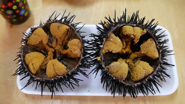 'Japanese Street Food - GIANT SEA URCHIN Uni Sashimi'