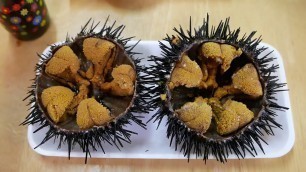 'Japanese Street Food - GIANT SEA URCHIN Uni Sashimi'