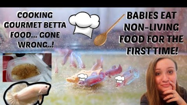 'COOKING GOURMET BETTA FOOD & BABY BETTAS EAT NON LIVING FOOD FOR THE FIRST TIME!.. GONE WRONG'