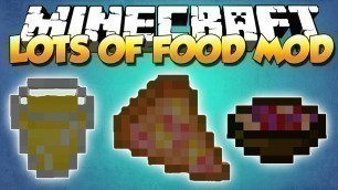 'Minecraft Mods - Lots Of Food Mod'