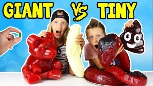 'GIANT GUMMY vs TINY GUMMY!!!'