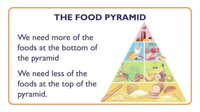 'Fish: Nutritional Value and Food Pyramid - Something Fishy: Kids Lesson 7'