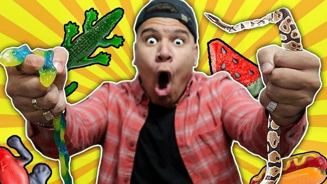 'GUMMY FOOD VS REAL FOOD! *Eating Gross Giant Snakes* BEST GUMMY REAL FOODS'