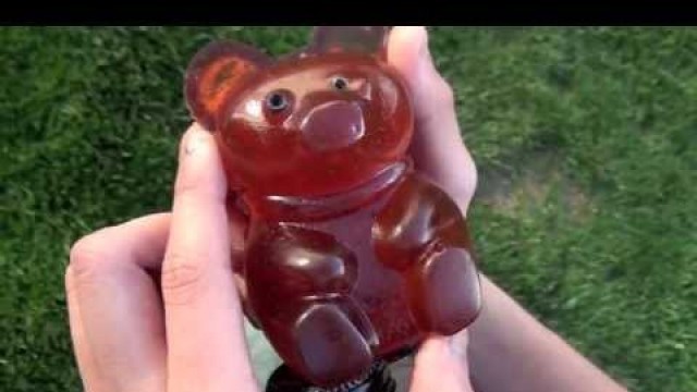 'Giant Gummy Bear Ballistic Gel'