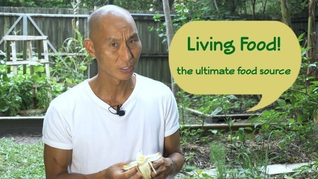 'Living Foods - the ultimate food source!'