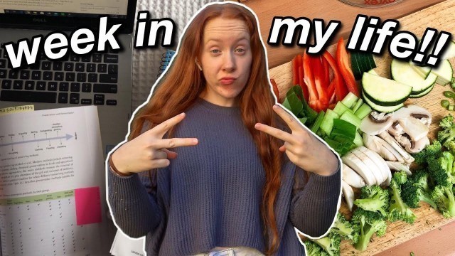 'weekly vlog // third year of uni, meal prepping & social media chat !!!'