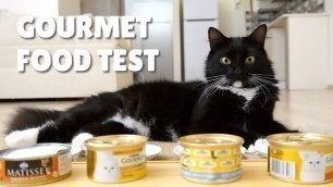 'What gourmet food do cats like? | Uni and Nami'