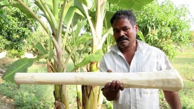 'BIG BANANA STEM Cooking IN My Village |  Natural Remedies for Kidney Stones | VILLAGE FOOD'