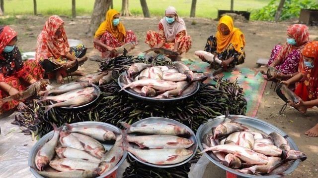 '70 KG 32 Pieces Carp Fish & 100 KG Brinjal Curry Cooking By Village Lady For 300+ People'