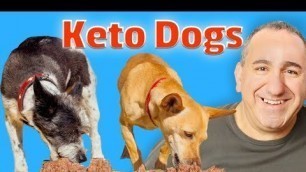 'ketogenic diet for dogs with cancer'