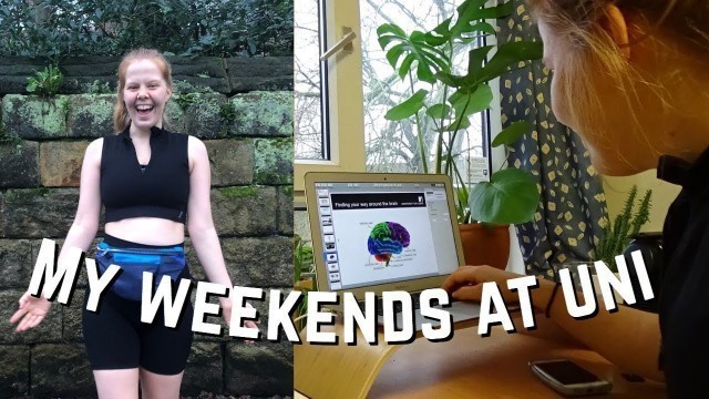 'PREP FOR A NEW UNI TERM WITH ME / Park run, Vegan food haul and stu(dying)!'