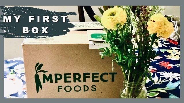 'MY FIRST IMPERFECT FOODS ORDER with PRICES | Grocery Delivery Service'