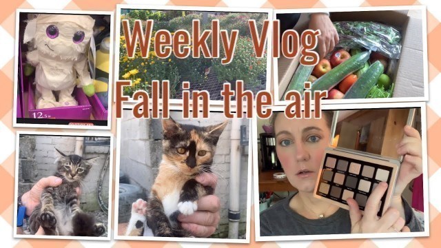 'Weekly vlog, sick kitty, shopping, baby shower and imperfect foods. #weeklyvlog,'