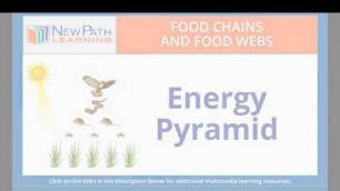 'Food Chains and Food Webs-Energy Pyramid'