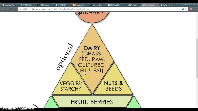 'Paleo Food Pyramid'