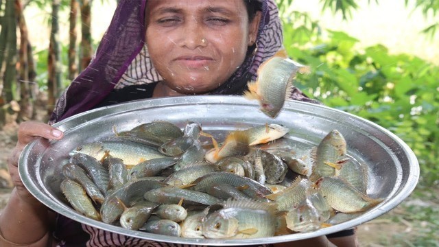 'Village Food Koi Mach Vuna Recipe Delicious Bengali Cooking Climbing Perch Fish Curry Tel Koi Recipe'