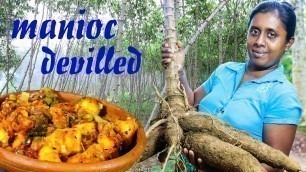 'Let’s make a manioc devilled recipe in a simple way./village kitchen special recipe /village food'