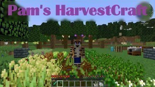 'Pam\'s HarvestCraft Mod Showcase (MineCraft 1.12.2)'