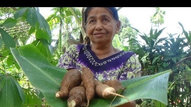 'Village Foods - Cooking Manioc (Cassava) curry in my Village by my Mom'