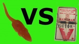 'Giant GUMMY Rat VS Giant REAL Rat Trap'