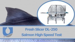 'Fresh Slicer DL-.250 Salmon High Speed Test|  Uni-Food Technic A/S'