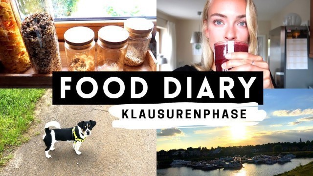 'FOOD DIARY mit UNI ALLTAG & LERNTIPPS | vegan & gesund essen | Lea Groenniger'