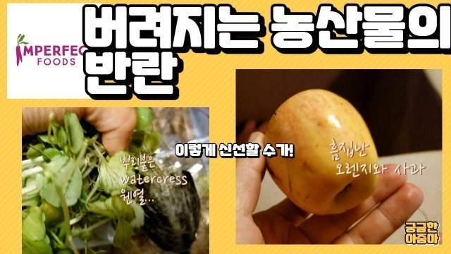 'Imperfect food/food waste/멀쩡한 농산물 살리기/내돈내산/미국농산물/음식쓰레기줄이는쇼핑/ugly food'