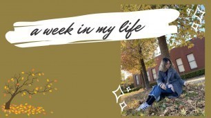 'A week in my life: Autumn vibes, meetings, food, and uni life'