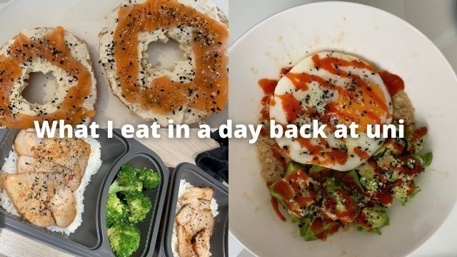 'What i eat in a day back at uni + mini food haul'