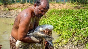 'Fish Catching,Cutting and Cooking - Village Food Cooking - Village Fishing'