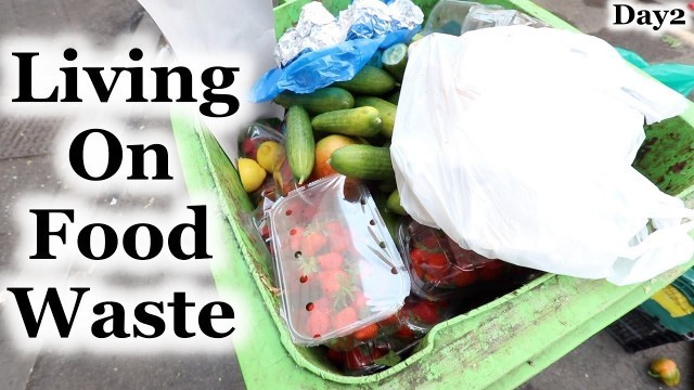 'Living on Food Waste - Day2'