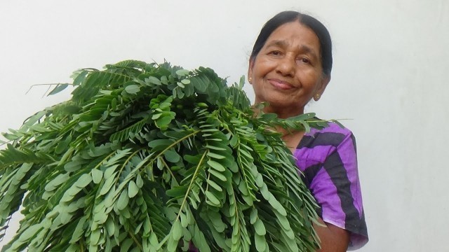 'Healthy Village Food ❤ cooking Sesbania Grandiflora Leaves in my Village by my Mom'