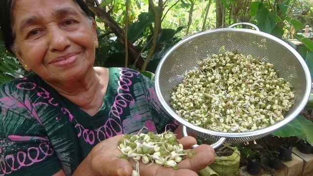 'Healthy Village Food ❤ Cooking Sprouted Green Gram Curry in my Village by my Mom'