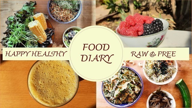 'Food Diary No 2 - 6 days raw vegan lowcarb highgreen living foods'