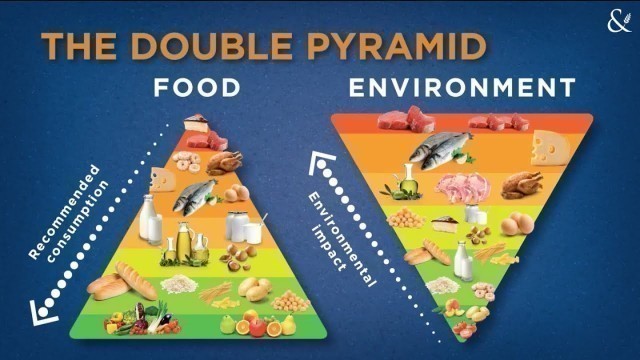 'The BCFN Foundation double Food and Environment Pyramid'