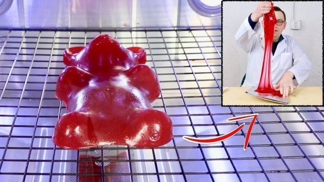 'I Left a Giant Gummy Bear in Dehydrator for 7 Days...'