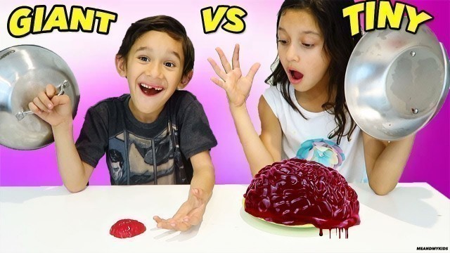 'GIANT GUMMY vs TINY GUMMY - Family fun 