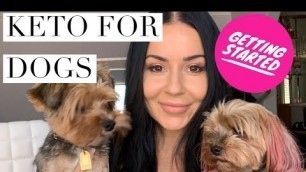 'KETO DIET FOR DOGS | HOW TO GET STARTED ON RAW KETOGENIC DOG FOOD | RESULTS and BENEFITS'