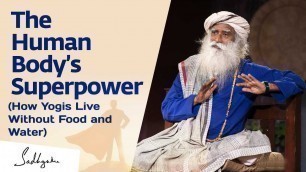 'How Yogis Live Without Food and Water – Sadhguru'